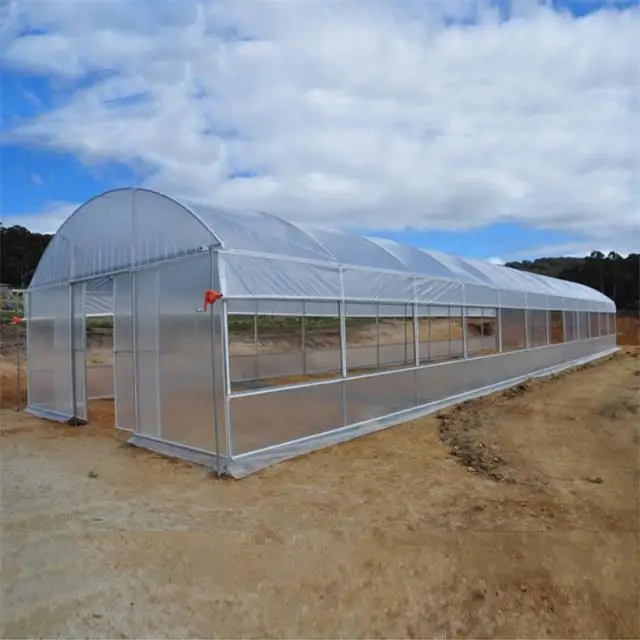 Single Span Tunnel Greenhouse for Tomato and Vegetable