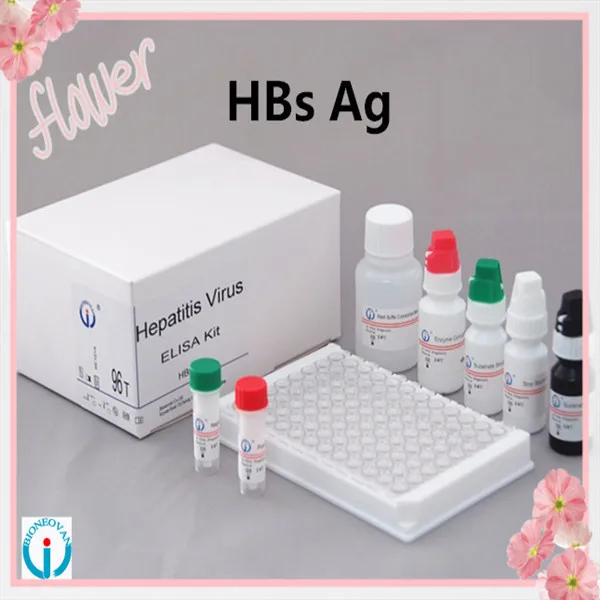 Hbs ag. SP Elisa Diagnostic. Sl80044-100 набор для диагностики бета- талассемии человека SEQLINE 100 RXN. HBS AG КМЛ.