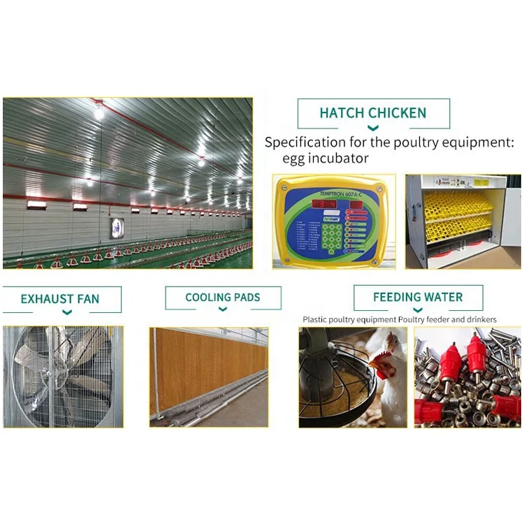 Мясо кролика фермы для стали птицы куриный