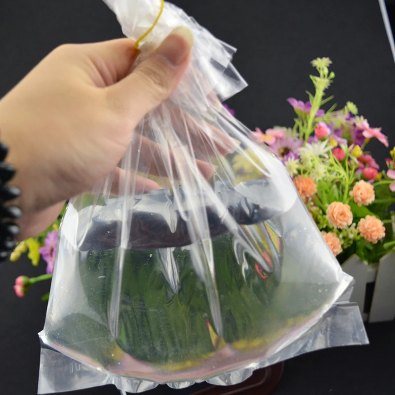 LDPE Fish Transport Polythene Bags Transparent Custom Shopping Heat Seal Offset Printing Packing Fish or Others Barrier Accept