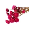 Rose madder