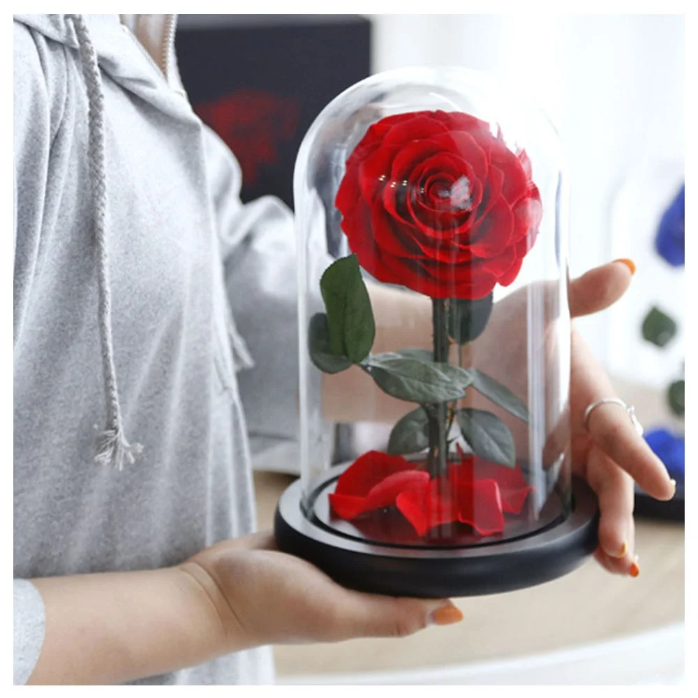 Gift Box Eternal Luxurious Valentine Gifts Enchanted Rose Stabilized  Preserved Flower Forever Rose in Glass Dome