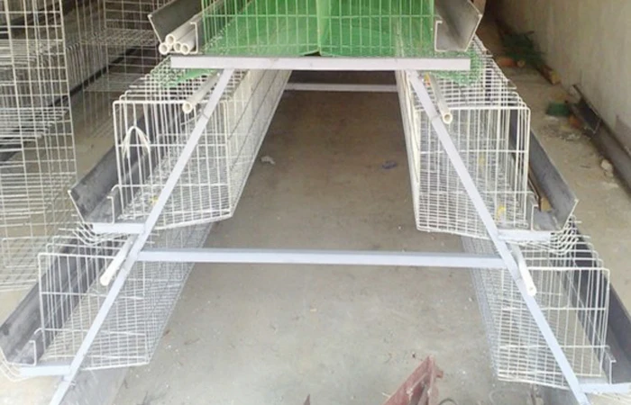 Best Price Chicken House Chicks Broiler Coop Eggs Layer Cage For Poultry Farm Sale