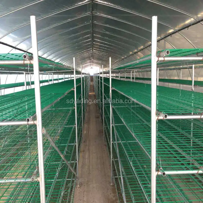 Cheap Modular Mushroom Greenhouse