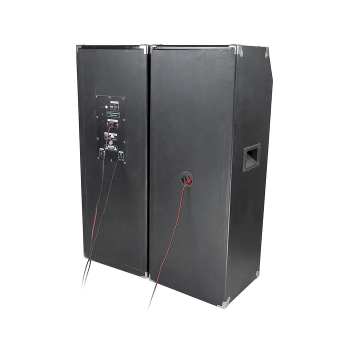 
 Лидер продаж, креативный продукт, большой сабвуфер 2*10 дюймов, сценические колонки W-167  