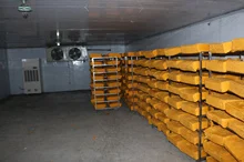 Chuzhou Runtai Halal Food Co., Ltd. 3