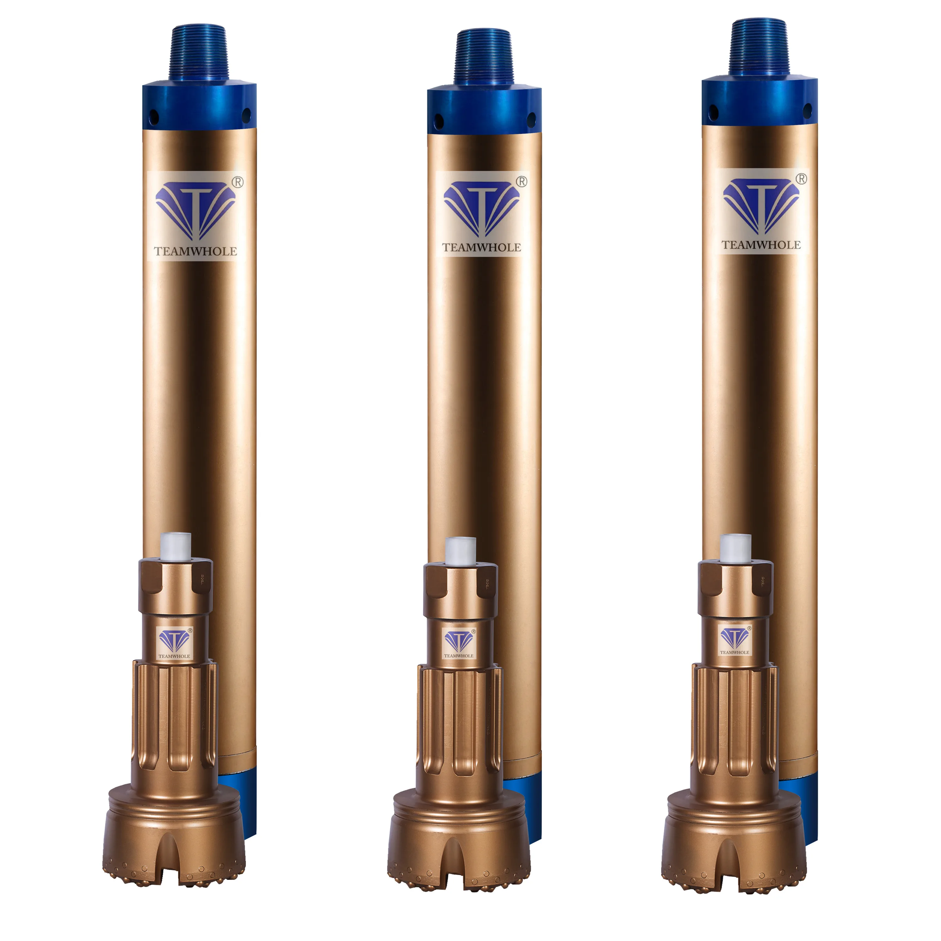 12" Th12 Dth Hammer For Oil And Gasfoundation Water Well Dth Drilling