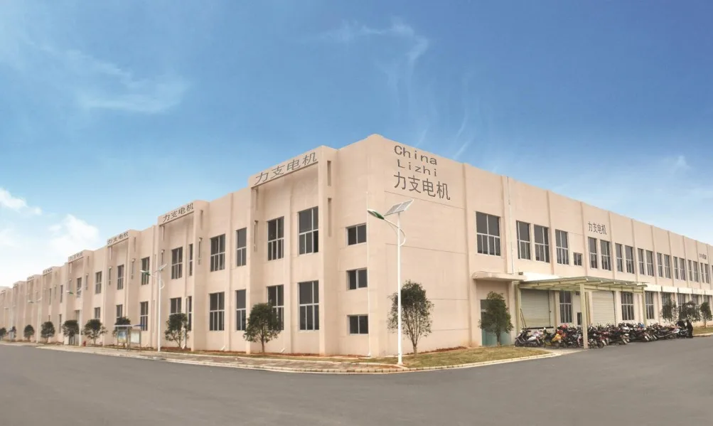 Dongyang Lizhi Motor Co., Ltd.