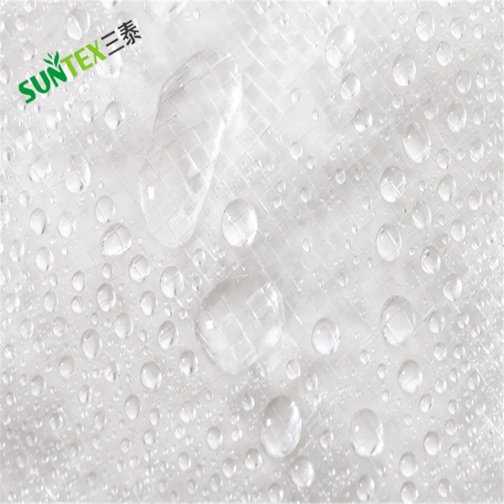 20m X2m UV Resistant Plastic Rain Covers for Orchards Cherry Table Grape Protection Cover PE Tarpaulin
