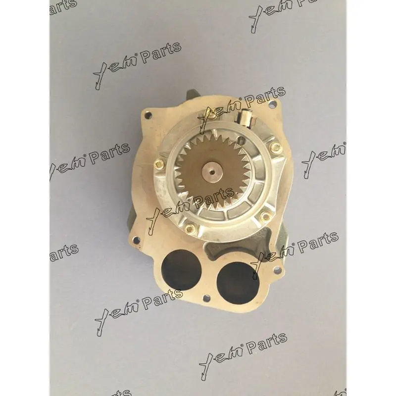 R916 Water Pump 10132817 for Liebherr Engine 3