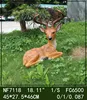 NF7118