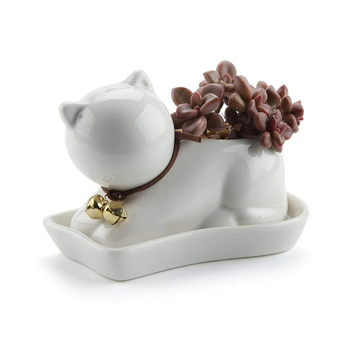 -C Succulent Planter Decorative Animal Flower Pot Mini with Tray Saucer White 