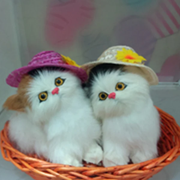 Gato de pelúcia barato Clearance