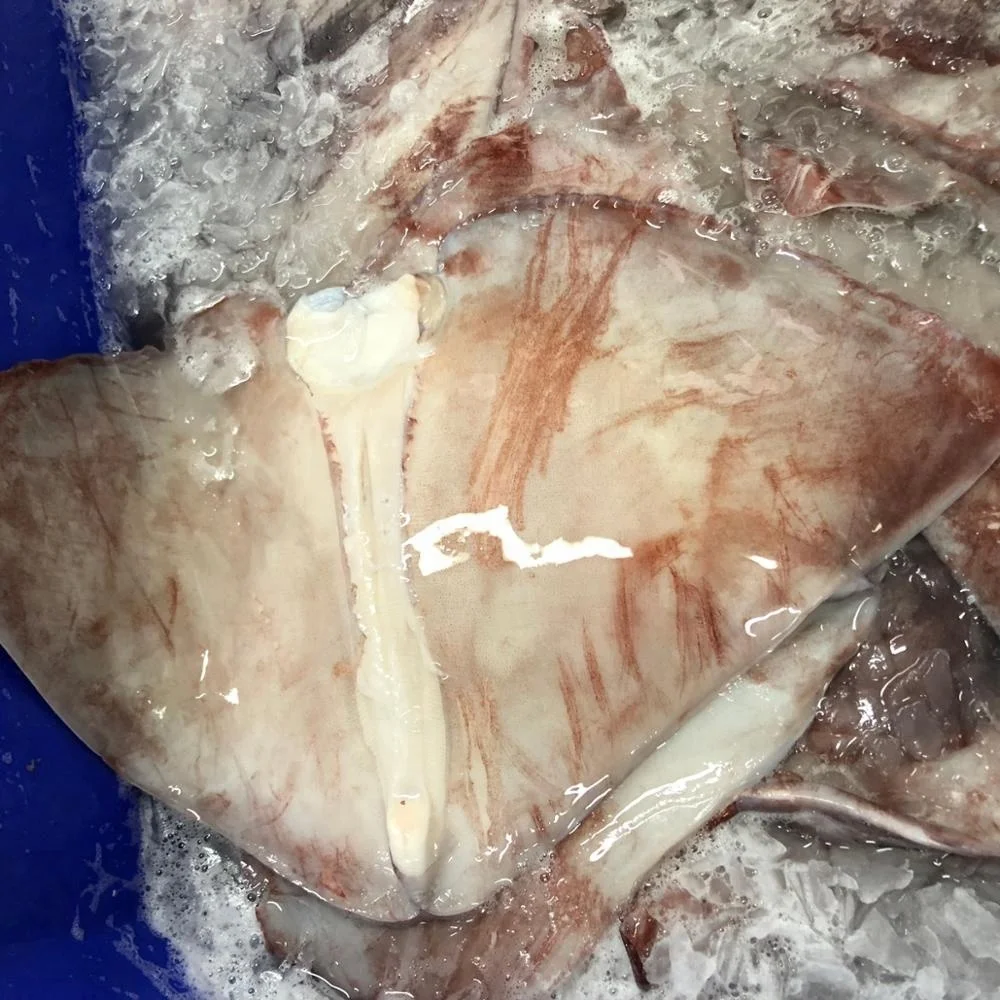 Peru Origin Factory Price Frozen Giant Squid Wings From Peru