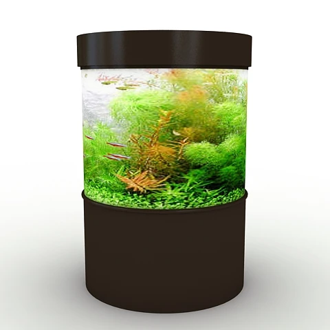 Tropical 21 High Aquascape Gallon Round Aquarium Customized Shape Fish  tank Acrylic Aquarium