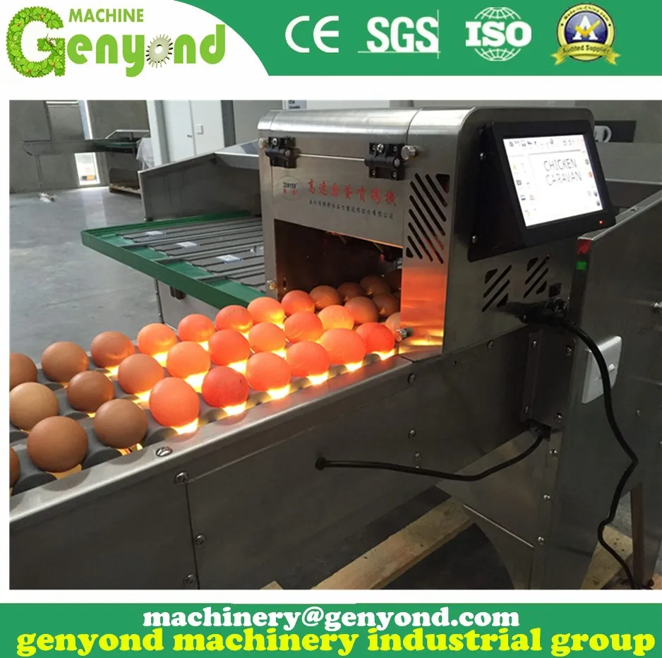 Brand New Automatic Egg Sorting Machine
