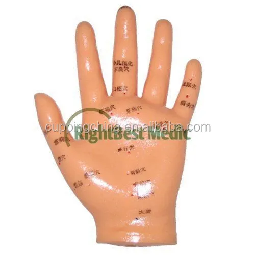 13 см на английском языке медицинская акупунктурная модель ручной акупунктурные точки ручная иллюстрирует органов по
