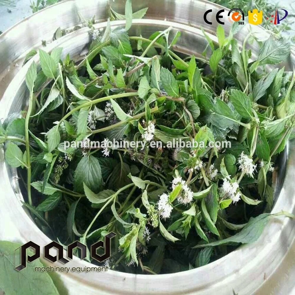 Small Automatic Olive Leaf Steam Distillation Equipment for Essential Oil Extraction New Condition