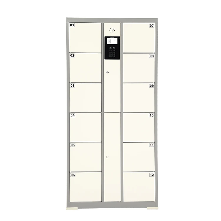 Storage Electronic Password Smart Locker in Good Quality with Competitive Price