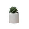 Gris H8cm con platillo