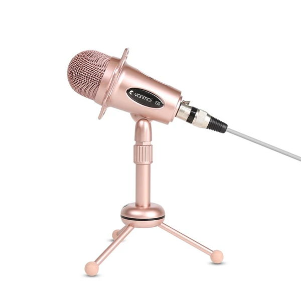 noise cancelling studio microphone