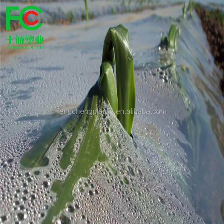 Factory Supply Plastic Mulch Layer for Plant ,agricultural Plastic Mulching Sheet,mulch Silver / Black for Sale Hot