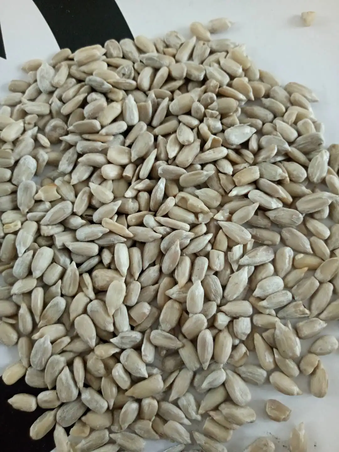 Bakery Grade Sunflower Kernels New Crop Raw Double Cleaned Packaging