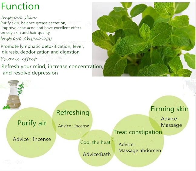 Peppermint oil function