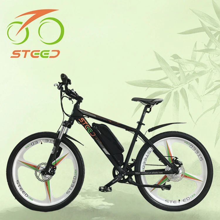 e bike lowest price