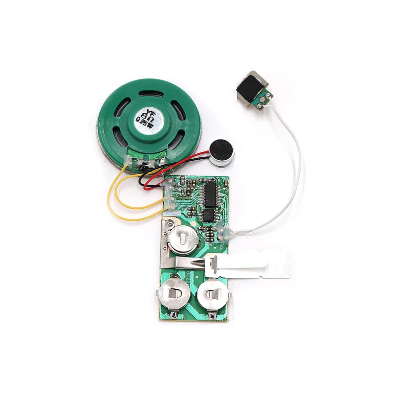 Sound Voice Audio Recordable Recorder Module Chip Programmable For Greeting Card