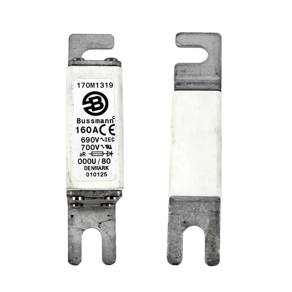 Automotive Fusible Links Hrc Fuse Types Thermal Car Fuse 170m1319 For