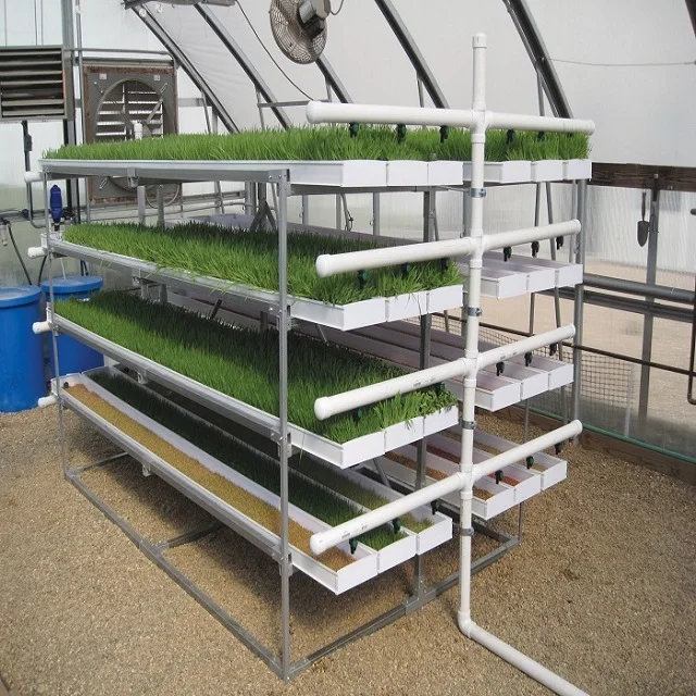 Greenhouse Fodder Hydroponic Growing System Complete Vertical Indoor Hydroponic Lighting Growing Systems