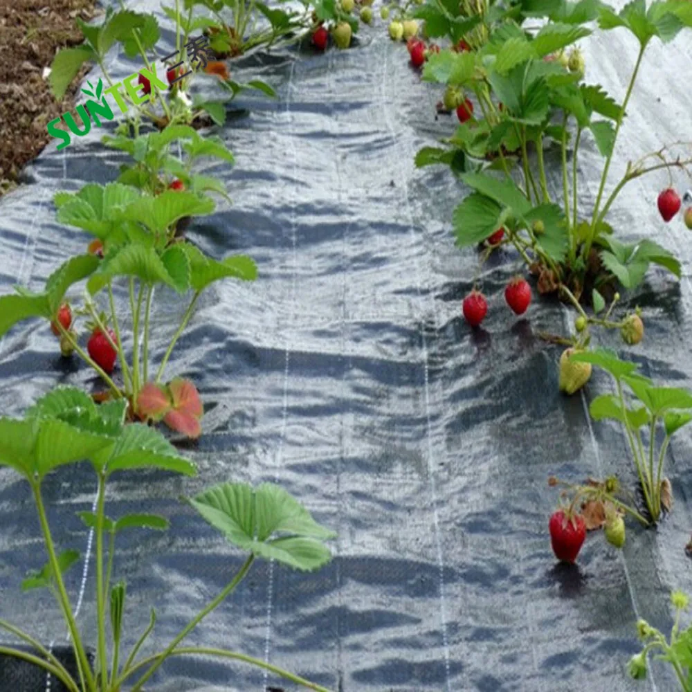 Weed Blocker Landscape Fabric Weed Barrier Control Mat Gardening Ground Cover Weed Control