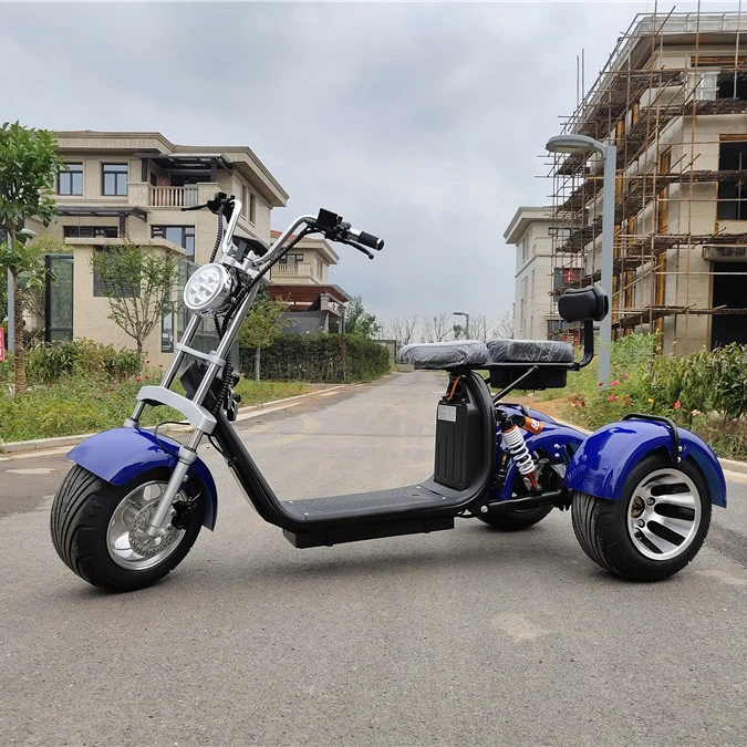 citycoco trike