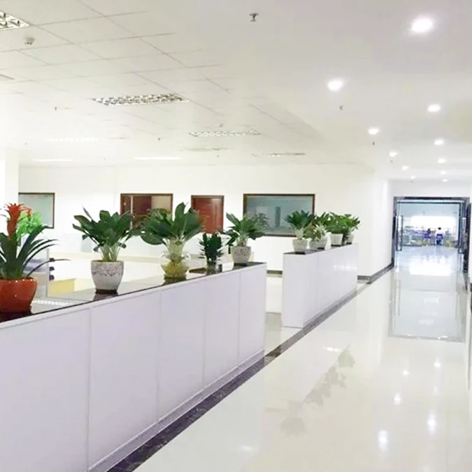 Shenzhen Aidelion Technology Co., Ltd. 2