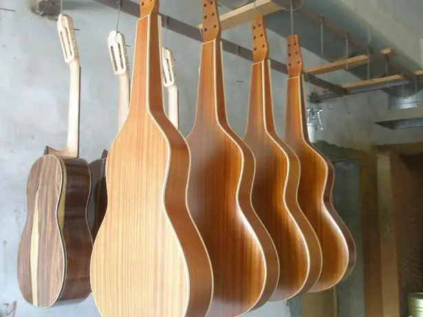 アコースティックギター 6弦 マホガニー Amazon | Breedlove ECO Discovery S コンサート