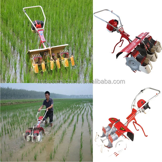 Gasoline Grass Cutter Machine in Philippine / Weeding Cutting Machine for Rice Field