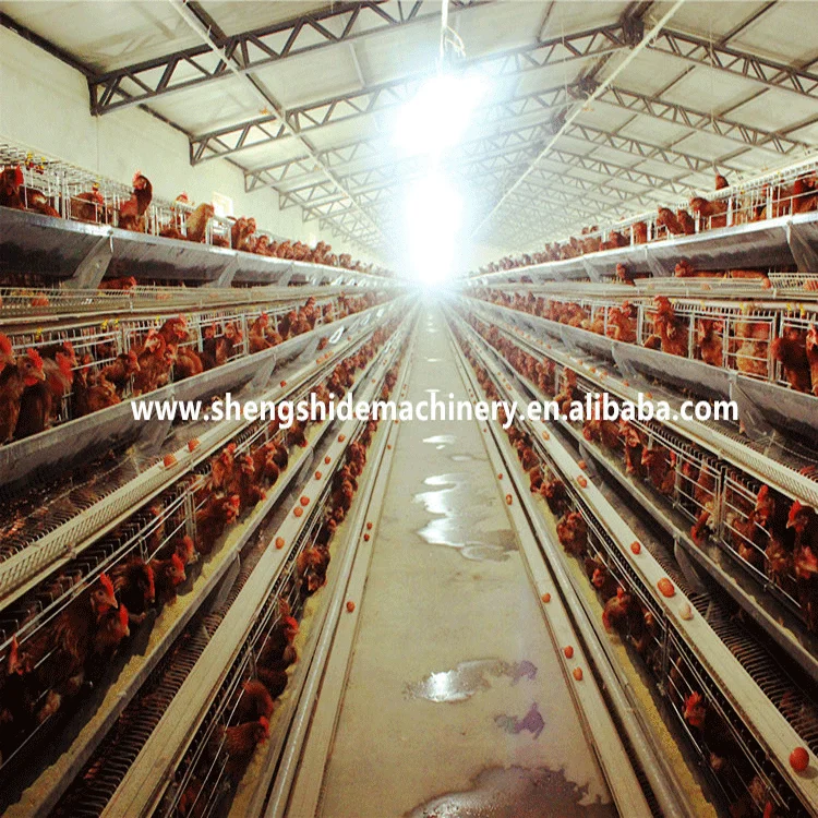 Poultry Used Chicken Farm Layer Cages for Sale in Zimbabwe