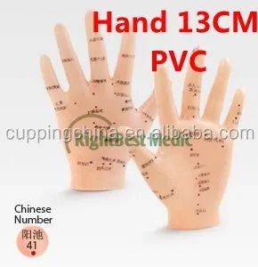 13 см на английском языке медицинская акупунктурная модель ручной акупунктурные точки ручная иллюстрирует органов по