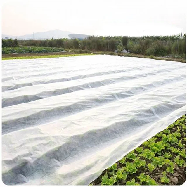 Agriculture using nonwoven fabric for winter protection of plants fleece tunnel protects plantsagainst frost and water loss