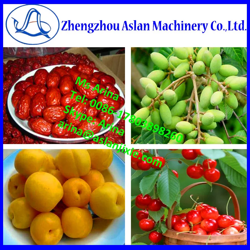 Apple Seed Removing Machine Avocado Kernel Removing Machine Oil Palm Fruit Pitting Machine Buy Oil Palm Fruit Pitting Machine Avocado Kernel Removing Machine Apple Seed Removing Machine Product On Alibaba Com