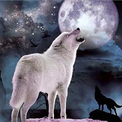 Pet 3d lenticular hình ảnh sói hoang dã sẽ khiến bạn không khỏi phấn khích. Với công nghệ in 3D mới nhất, các hình ảnh sói hoang dã trong phim sẽ trở nên sống động hơn bao giờ hết. Bạn sẽ thấy chúng như một con sói hoang dã thật sự đang ở trong phòng của bạn.