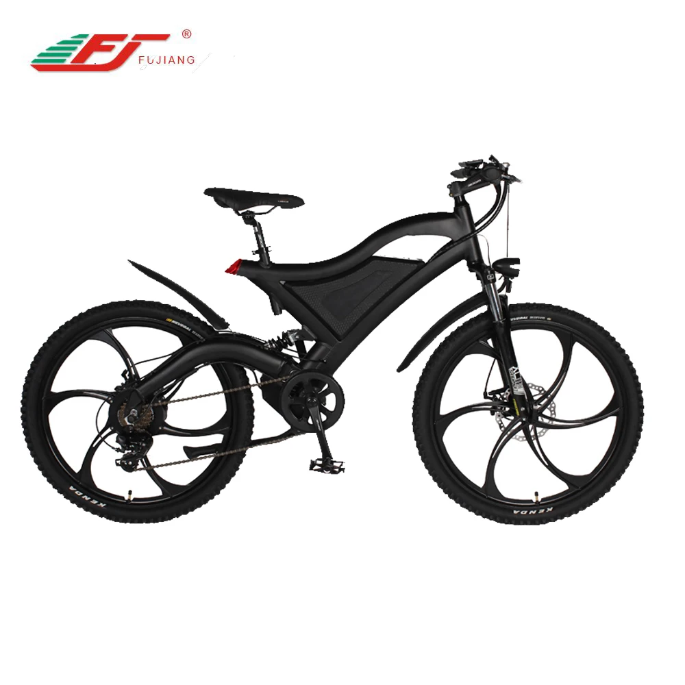 e cycle kit with battery