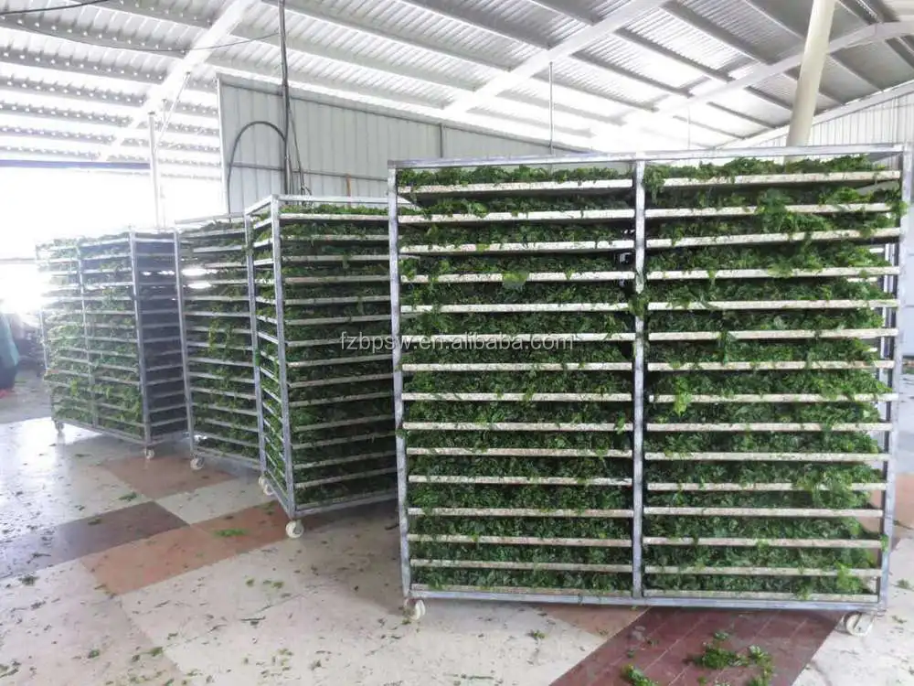 Китайский поставщик, заводская цена, Aosa Ulva Lactuca