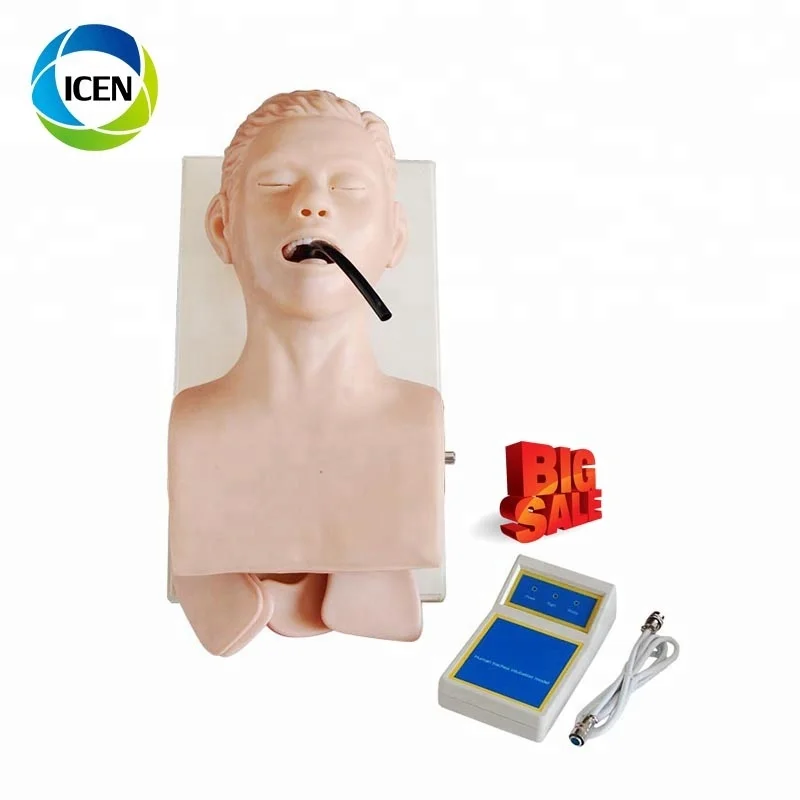 IN-406medical преподавания тренировки интубации модель человека интубации трахеи Манекен Модель новорожденных дыхательные пути интубации