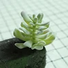 DR069 verde