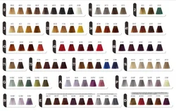 Лидер продаж, Таблица цветов для салона красоты волос для окрашивания волос