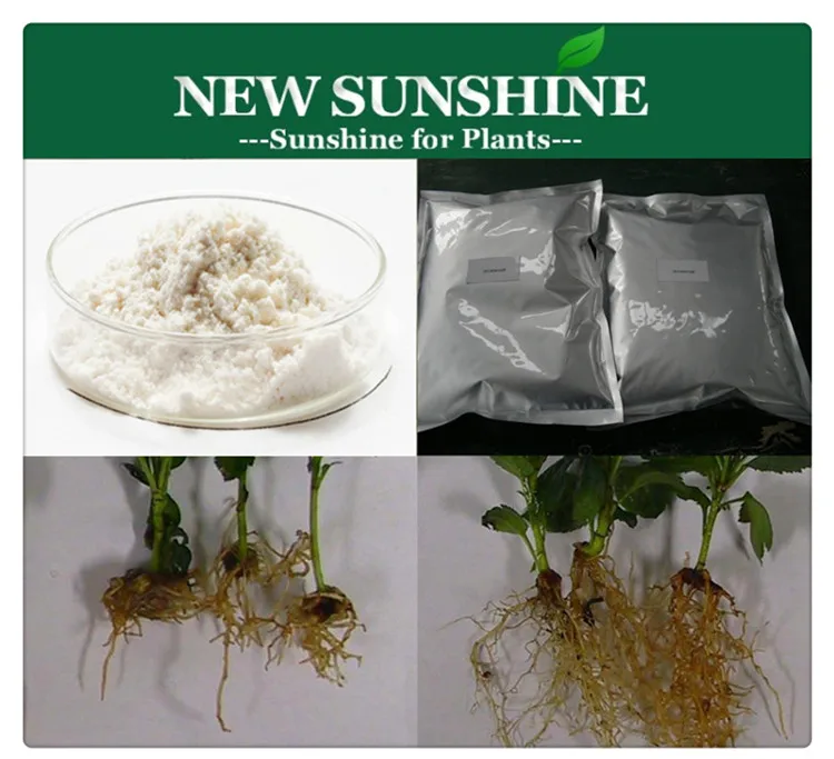 IBA 99% TC индол 3 масляная кислота цена CAS