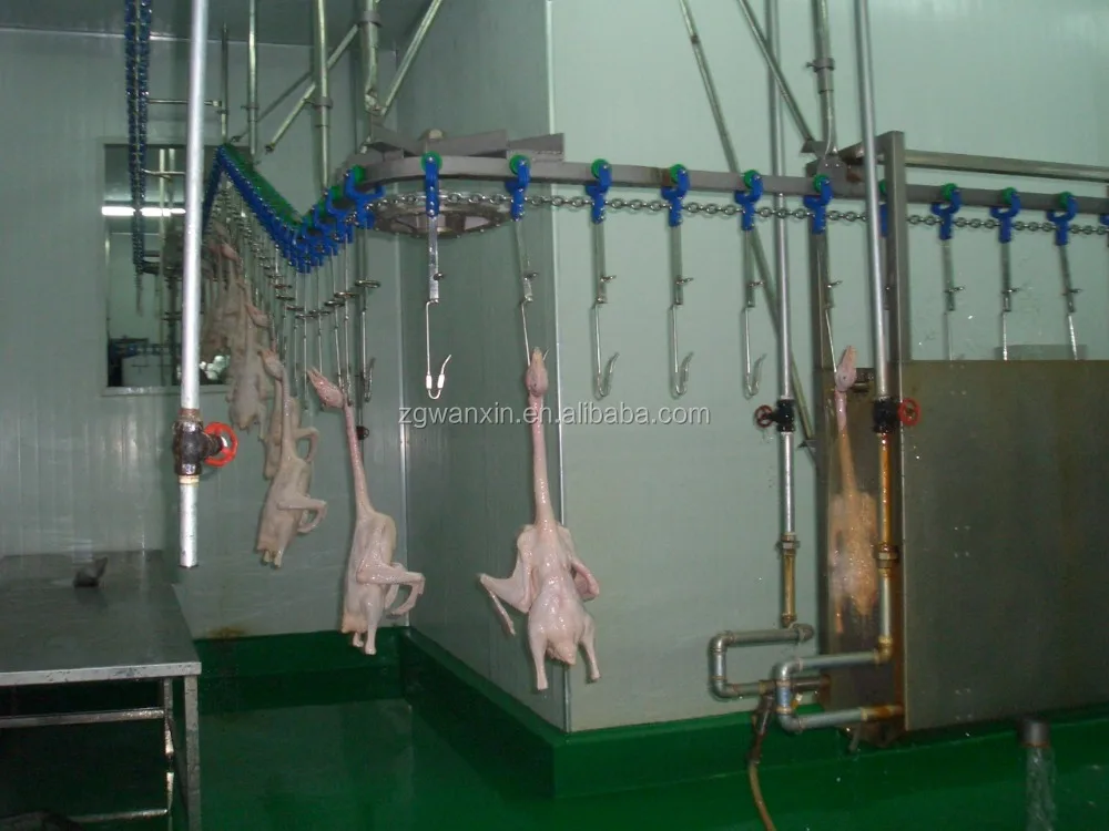 3000 BPH Poultry Application Chicken Slaughter House