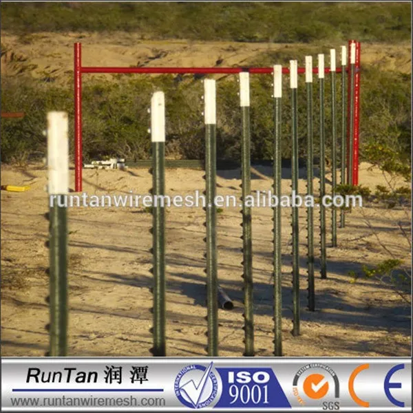 Poteau en t 10 pieds Clearance